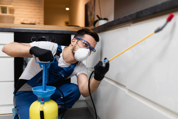 Best Exterminator Services  in Elwood, KS