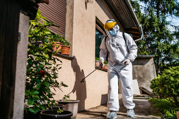 Best Pest Removal Services  in Elwood, KS