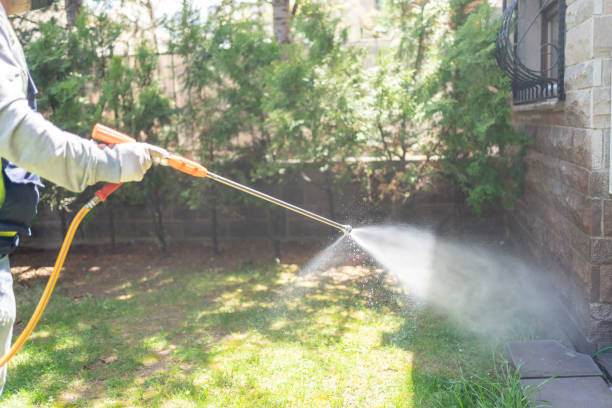 Best Local Pest Control Services  in Elwood, KS