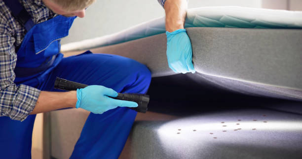 Pest Control for Restaurants in Elwood, KS