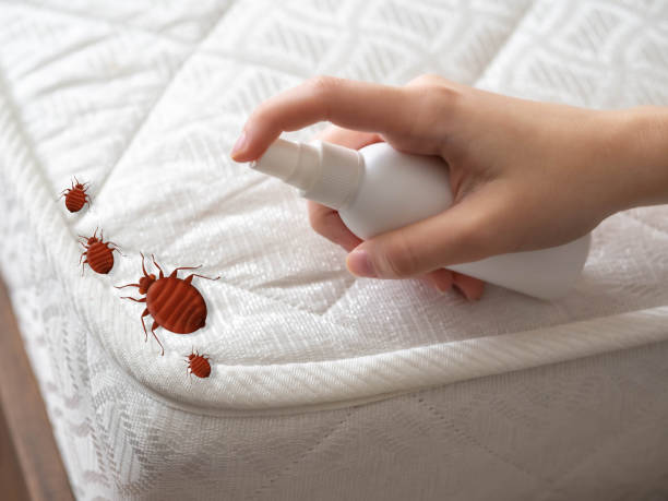 Best Emergency Pest Control  in Elwood, KS